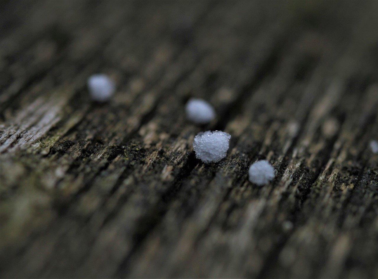 De acordo com o Instituto Nacional de Meteorologia (INMET), pedaços pequenos de gelo, abaixo dos 5 mm, são classificados como bolas de gelo, bolas de neve ou granizo mole. Para os leigos, tudo é granizo. 