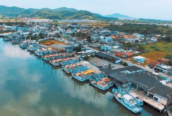 A pesca e a aquacultura de camarões é uma das atividades econômicas mais importantes, devido ao seu elevado valor comercial. Recentemente, várias espécies de camarões do coral têm sido comercializados pela indústria aquarista.