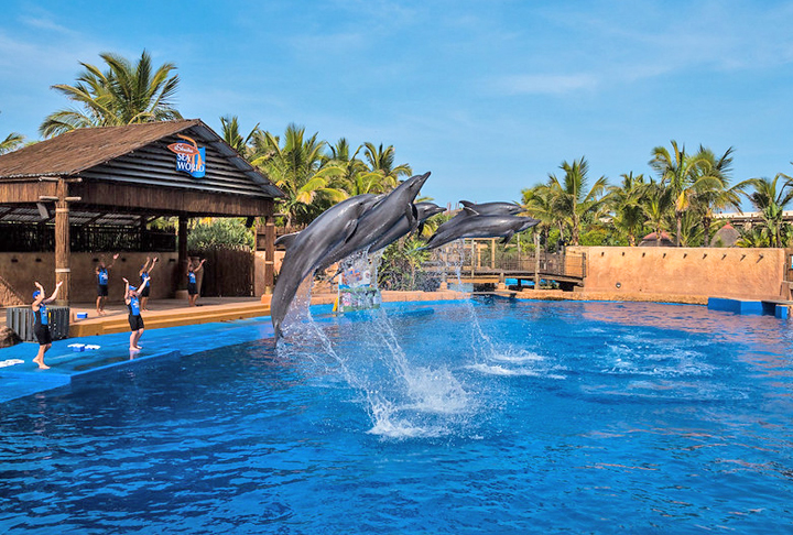 Tem 32 tanques com 4,6 milhões de galões numa área de 17.500 m². Faz parte de um parque temático que também tem outras atrações. O objetivo é mostrar não apenas as espécies marinhas no aquário , mas também promover passeios interativos em que os visitantes participam de aventuras em áreas com répteis e primatas. 