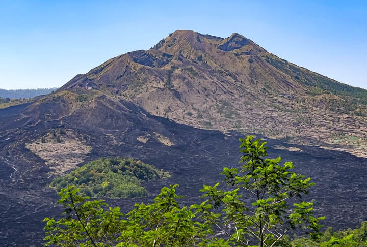 O turista foi deportado e está proibido de voltar à ilha de Bali. Após a situação, ele apagou os vídeos e se desculpou. As desculpas não foram aceitas pela população local. 