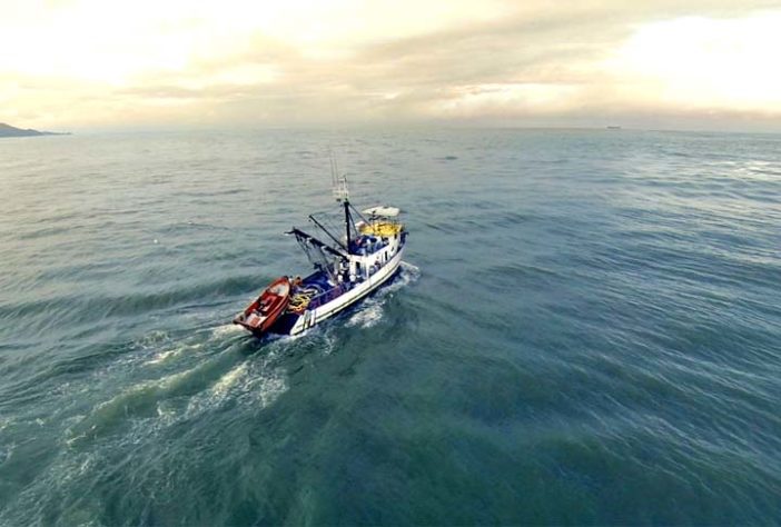 Santa Catarina, atividade pesqueira é destaque em SC  - pescados