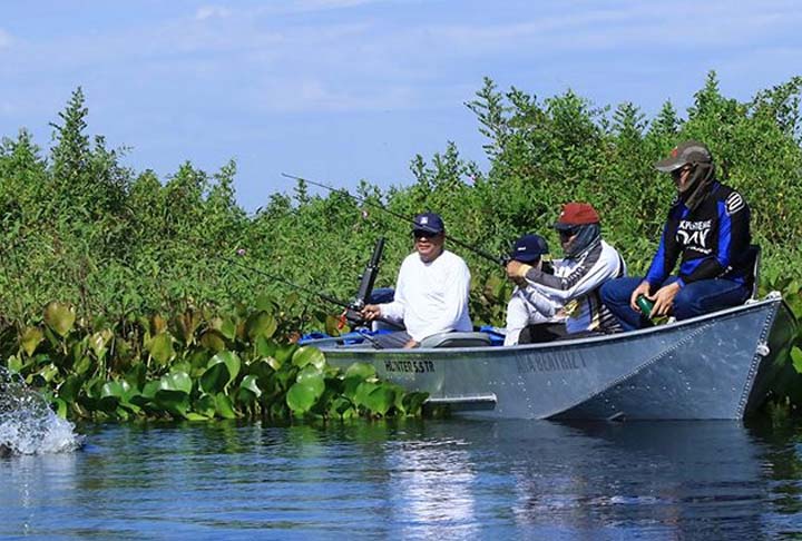 A pesca e a aqucultura de camarões é uma das atividades econômicas mais importantes, devido ao seu elevado valor comercial. Recentemente, várias espécies desse fruto do mar têm sido comercializados pela indústria aquarista.