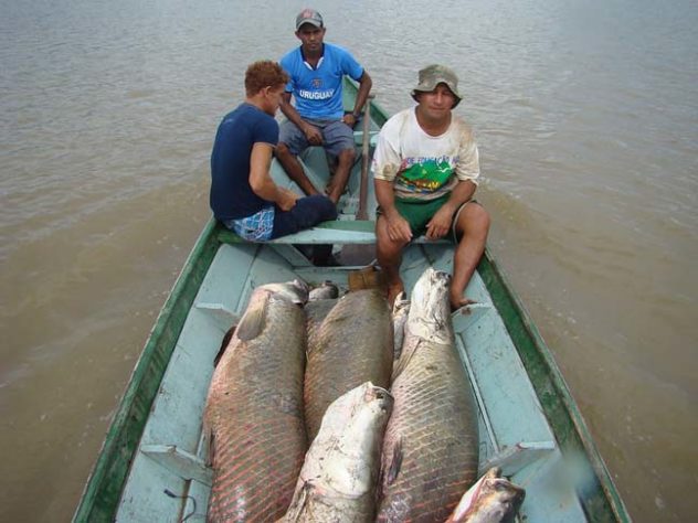 Pirarucu - Pescados