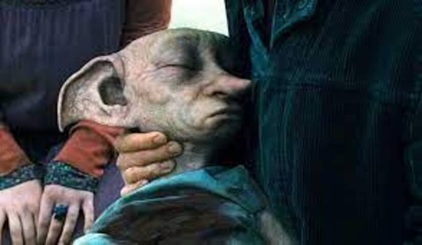 Cena memorável: O adeus de Dobby - Harry perde um amigo muito querido de forma inesperada e dolorosa. Dobby era um elfo extremamente leal a Harry, muito grato desde que o bruxinho o libertou da escravidão dos Malfoys. Um ser puro, gentil e que deu sua vida para salvar o seu amigo. -Divulgação
