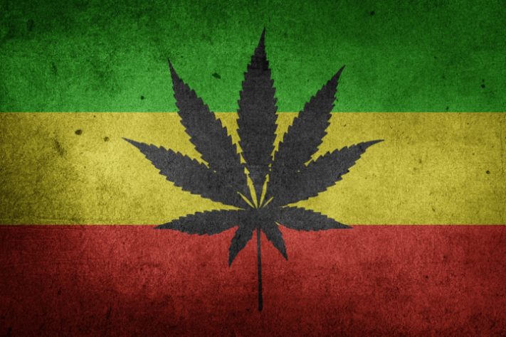 maconha - cannabis