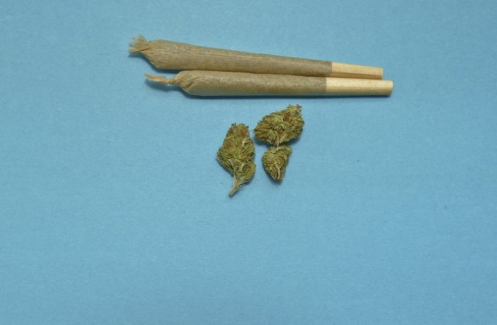 Maconha - cannabis