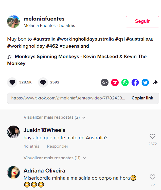 O registro logo ganhou repercussão porque diversos internautas começaram a comentar no vídeo, dizendo que o animal não só não era inofensivo como se tratava de uma das aves mais perigosas do mundo!-reprodução