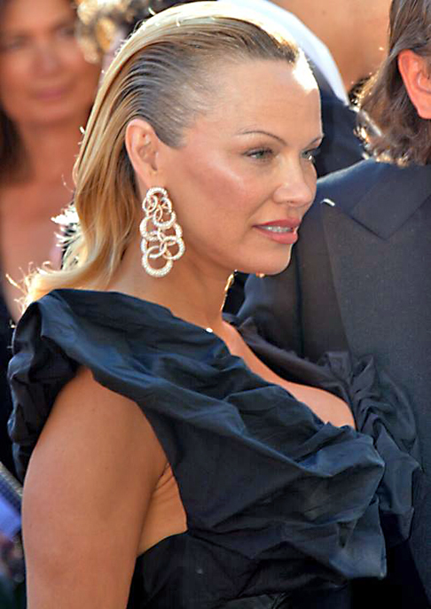 Pamela Anderson casou-se cinco vezes. Sua união com Tommy Lee terminou muito por conta dos problemas dele com drogas, além de um caso de violência doméstica por parte do baterista da banda americana Mötley Crüe. Tommy também teve casos extraconjugais.