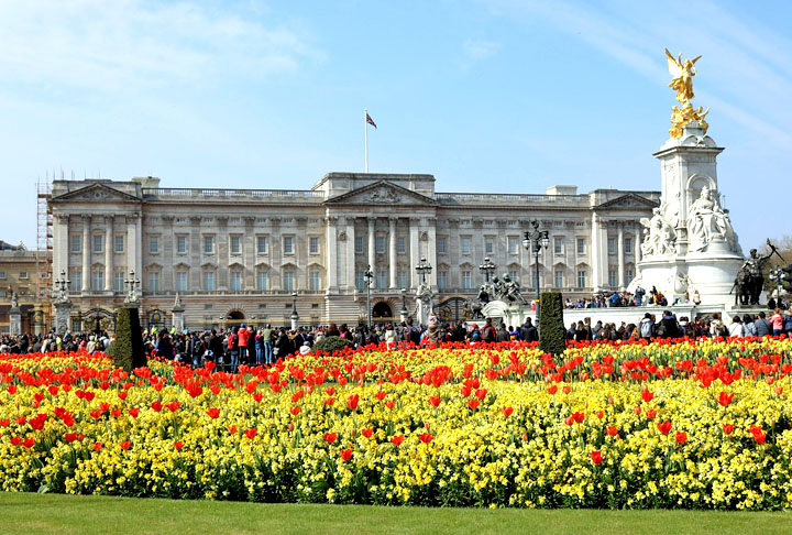 Confira celebridades que receberam o título  de Sir, honraria de nobreza da Monarquia Britânica.  -  (crédito: Imagem de Christian Storb por Pixabay)