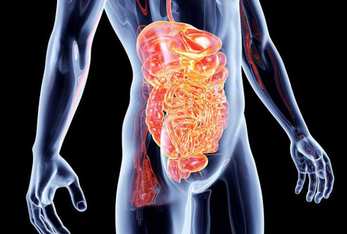 Câncer de Intestino