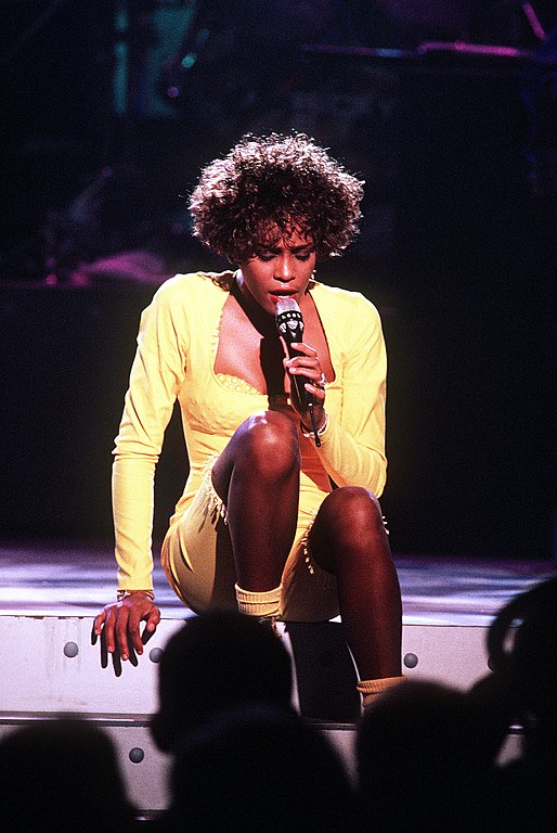 Conhecida como â??The Voiceâ? (â??A Vozâ?),Whitney Houston nasceu em Nova Jersey, nos Estados Unidos, e teve uma vida marcada por diversas polÃªmicas e controvÃ©rsias. Confira algumas!