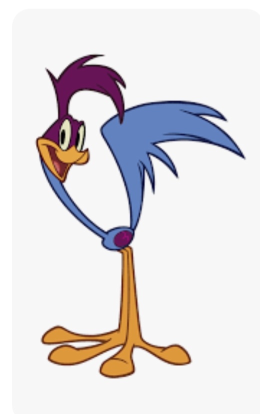 Inspirou o desenho do Papa-Léguas que passa a perna no Coiote e sempre emite o 