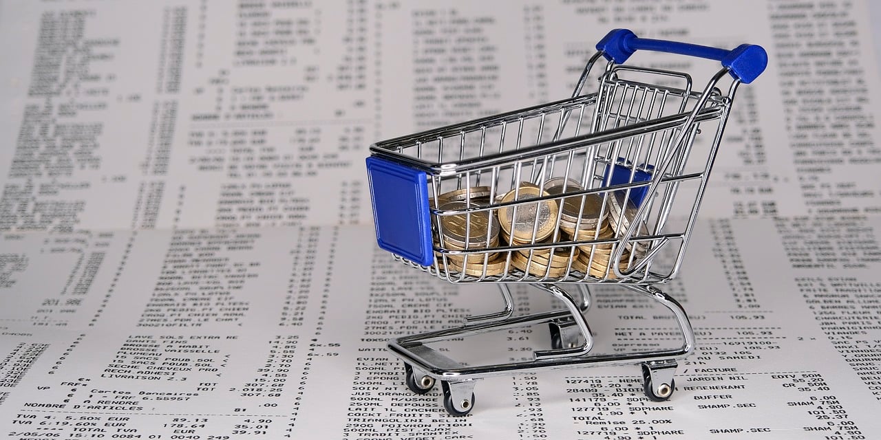 Quem ainda não conseguiu arcar com todos os débitos precisa se organizar para tentar limpar o nome.  E depois de conseguir pagar as contas é necessário agir direito para evitar contrair novas dívidas.