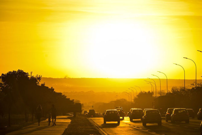 Animais que invadem as casas com mais frequência durante o verão