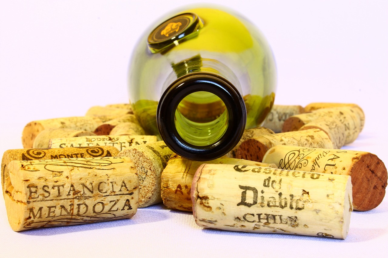  Algumas pessoas são como o vinho: ficam perfeitas com uma rolha na boca
