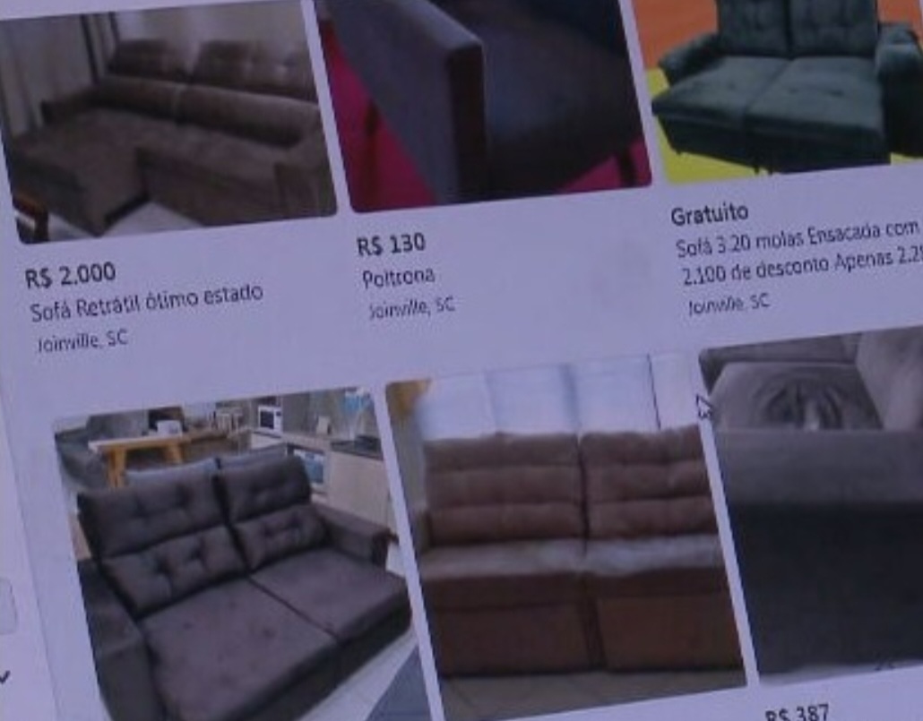 Ela pesquisou e encontrou um sofá adequado para sua expectativa. Só não imaginava que uma cachorrinha, como disse a Frada, chegaria como "brinde". 