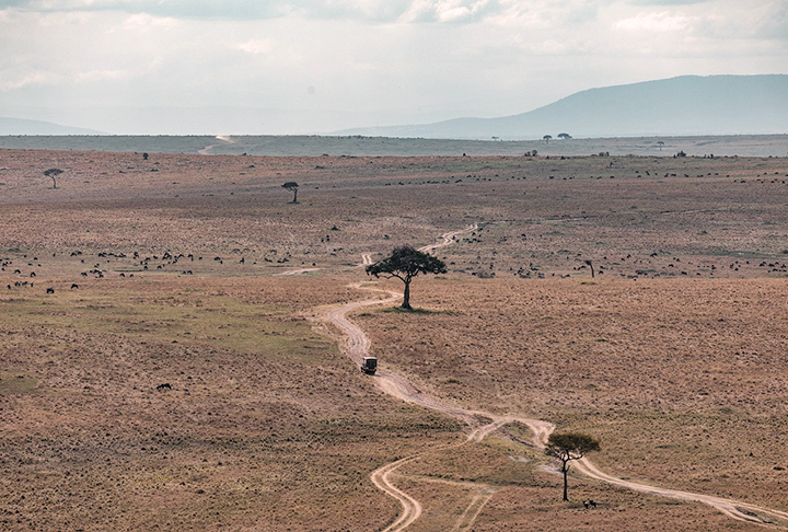 O processo está acontecendo na junção tripla do Afar, a interseção das placas Núbia, Somali e Arábica, localizada no leste do continente.-Imagem de Antony Trivet por Pixabay