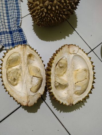 durian