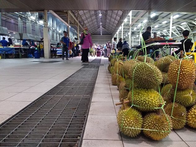 durian