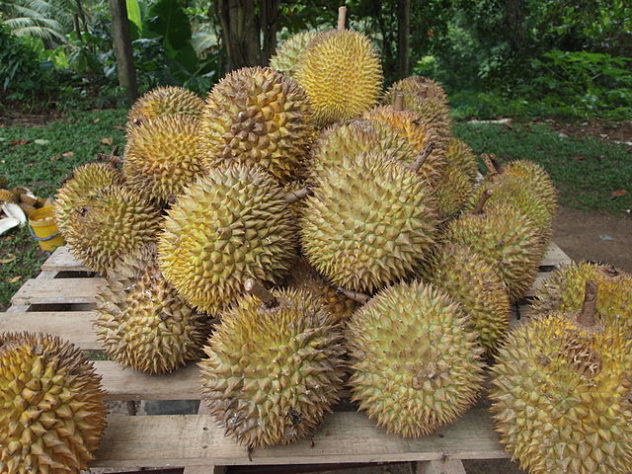 durian