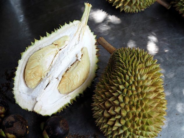 durian