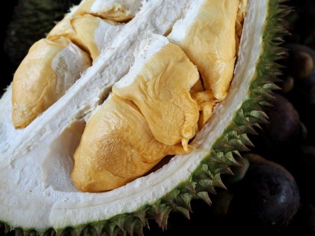 durian