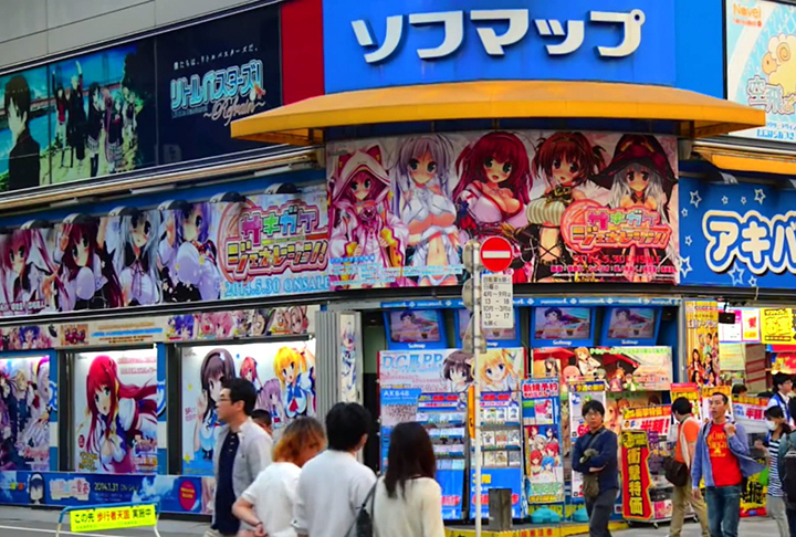 Uma pesquisa feita no Japão em 2017 surpreendeu ao mostrar que 10% dos jovens entre 16 e 29 anos no país admitem ter se apaixonado por personagens de animes (desenhos animados nipônicos) ou de games.