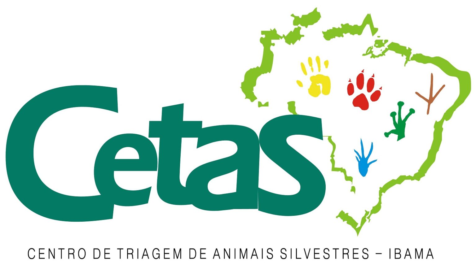 A cobra resgatada estava em boas condições. Se tivesse ferimentos, seria levada para o Centro de Triagem de Animais Silvestres (CETAS). Neste caso, a ocorrência foi em fazenda e os funcionários conhecem as providências necessárias. Mas ultimamente as cobras têm surgido até mesmo em áreas urbanas pelo Brasil. Inclusive dentro das casas. Veja alguns casos recentes. -Divulgação Ibama