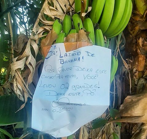Placas e cartazes divertidos expõem o bom humor do brasileiro