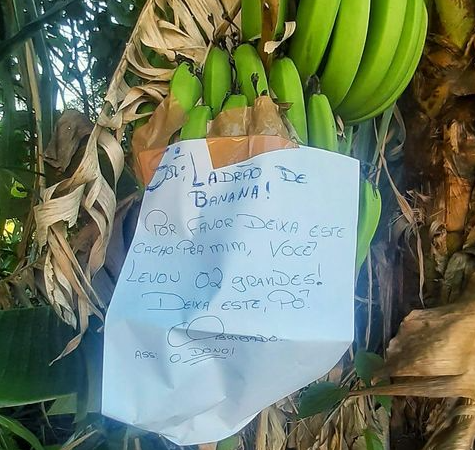 Placas e cartazes divertidos mostram bom humor do brasileiro