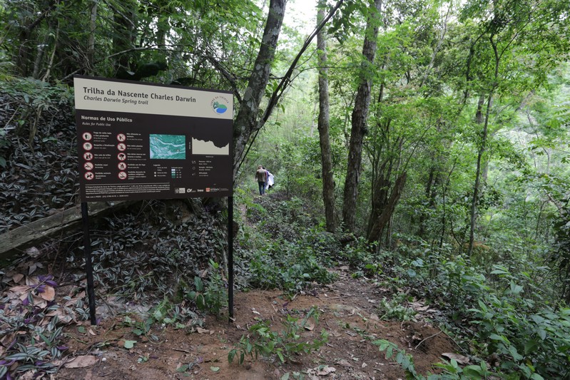 Quando alguma nova espécie é encontrada, é natural comemorar. Em 2023, pesquisadores da Universidade Federal Rural do RJ e do Jardim Botânico do RJ encontraram duas no Parque Estadual da Serra da Tiririca.