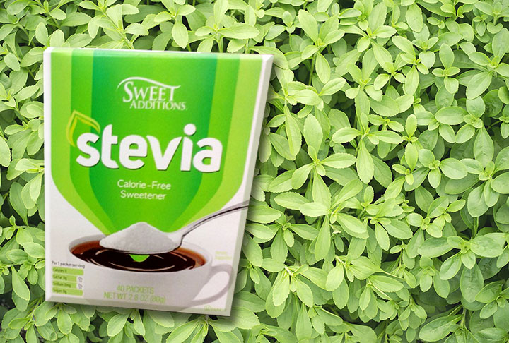 A stevia é um adoçante natural obtido a partir da planta Stevia Rebaudiana Bertoni, podendo ser encontrado em supermercados e lojas de produtos naturais na forma de pó ou em gotas.