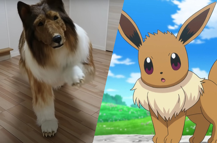 Nas redes sociais, o homem usa a identificação @toco_eevee, além de algumas fotos dele. O nome é uma homenagem ao Pokémon de mesmo nome. Este, por sua vez, lembra um cachorro da raça collie. Compare!