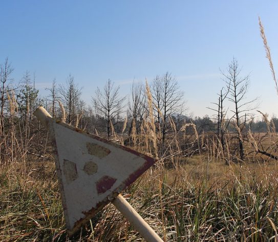 Radiação de Chernobyl transformou região em cidade fantasma