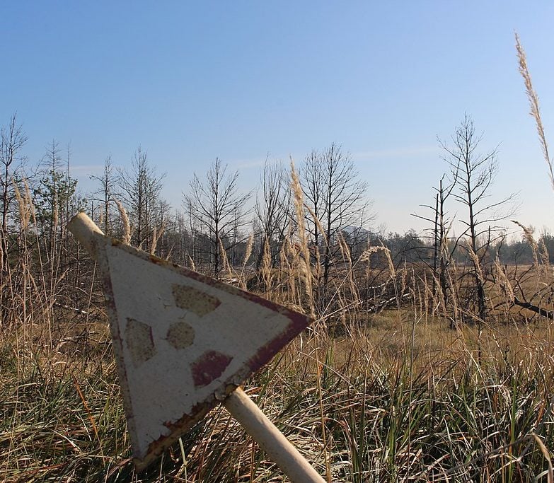 Entre previsões atribuídas a elas, estão o  acidente nuclear de Chernobyl (foto), os ataques de 11 de setembro e o tsunami de 2004. 

