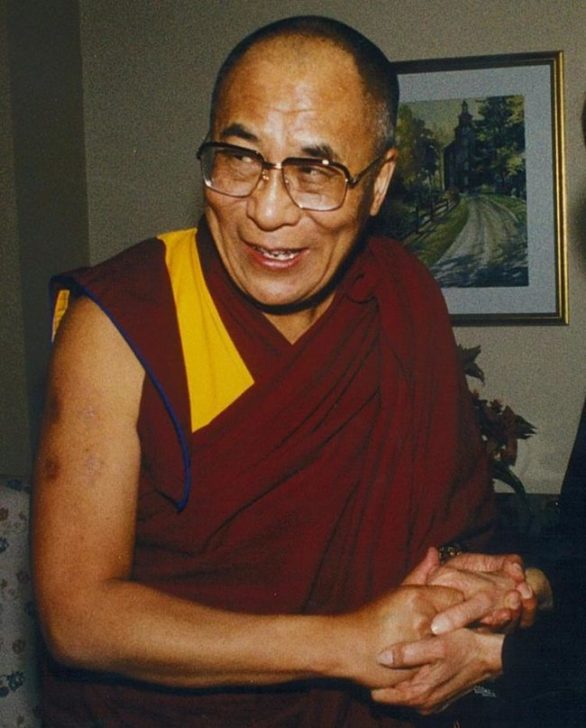 Além de ser um líder espiritual, o Dalai Lama também se encontra com outros líderes mundiais e religiosos, filósofos e cientistas, e viaja pelo mundo dando ensinamentos budistas tibetanos. Ele recebeu o Prêmio Nobel da Paz em 1989.
