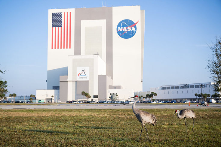 NASA cria serviço de streaming e promete mostrar tudo sobre o universo