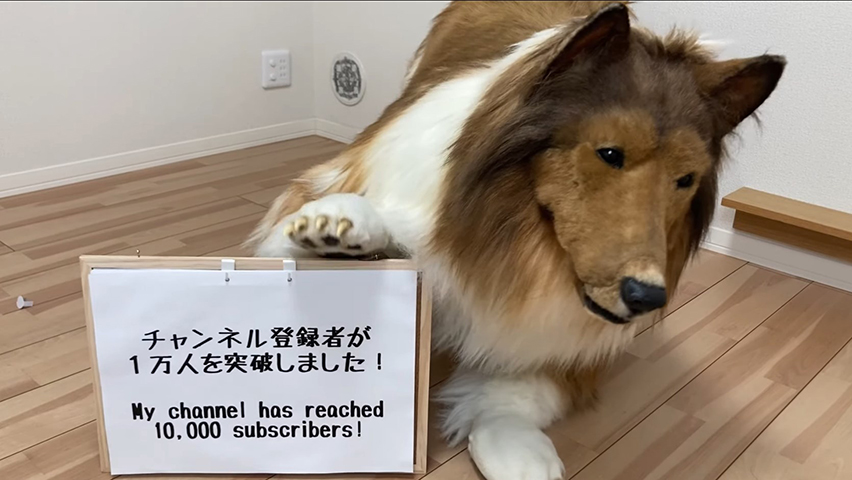 Em abril de 2023, Toko usou o Youtube para agradecer pelo fato de ter chegado aos 10 mil inscritos (hoje já passa de 72 mil) na rede social de vídeos. Ele vibrou ainda com o fato de o primeiro vídeo,  na  ocasião, ter passado das 2,4 milhões de visualizações. 