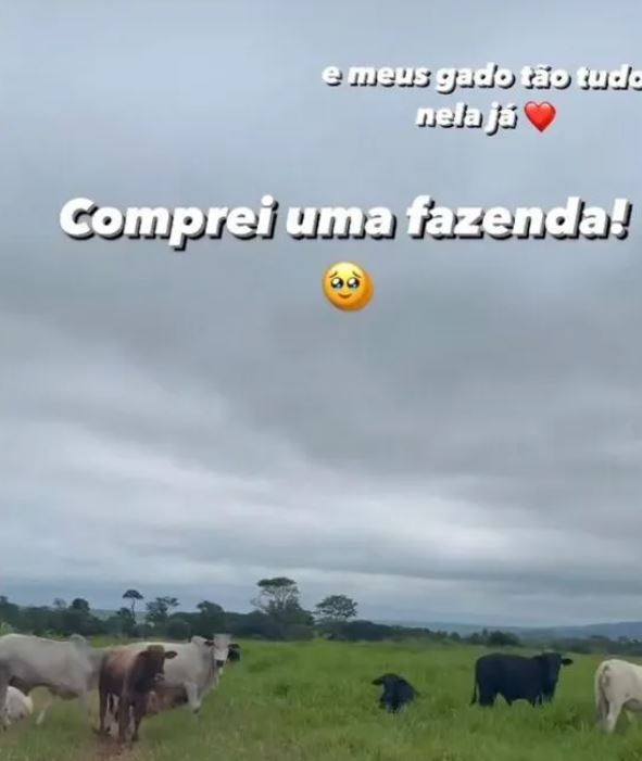 No Natal de 2023, a Boiadeira anunciou a compra de uma fazenda em Sete Quedas, em Mato Grosso do Sul, onde ela viveu. A cantora postou mensagem no Instagram dizendo que o gado já estava lá. 
-Reprodução Instagram