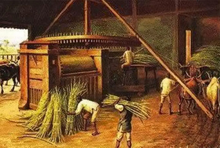 Cachaça 