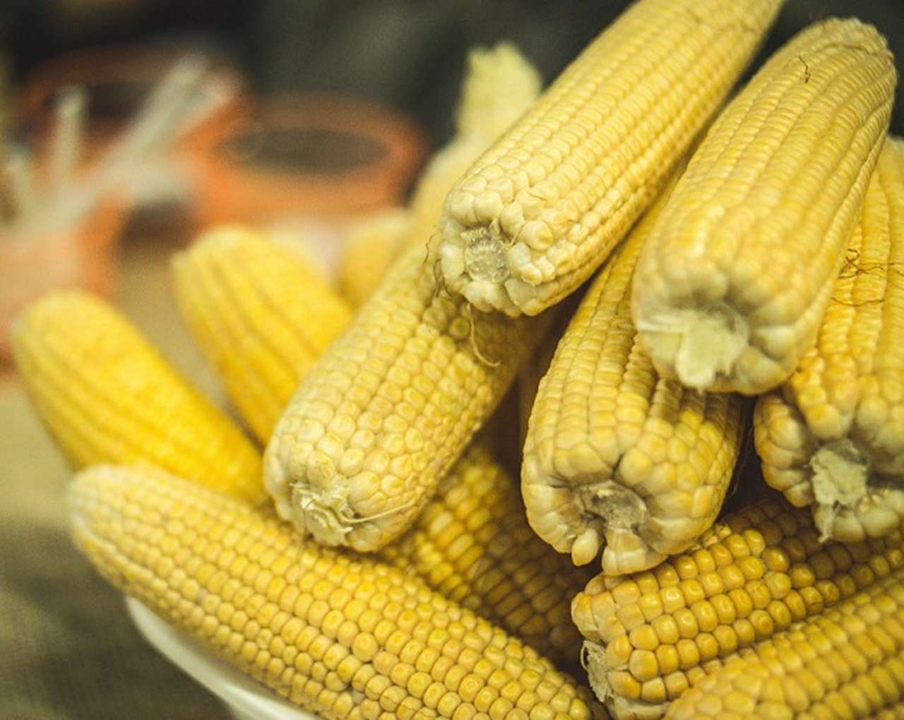 O milho é um dos alimentos mais importantes da história da alimentação humana, presente em diferentes culturas ao redor do mundo. Versátil, ele pode ser consumido fresco, seco ou transformado em farinha, o que explica a variedade de pratos que surgem a partir dele. Essa diversidade de usos está diretamente ligada à adaptação de cada região.