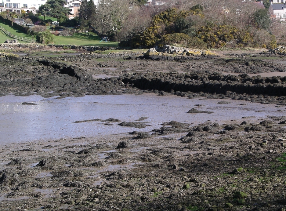 A ponte passa sobre o Estreito de Menai, um rio de águas rasas com 23 km de extensão que separa Anglesey do continente. 