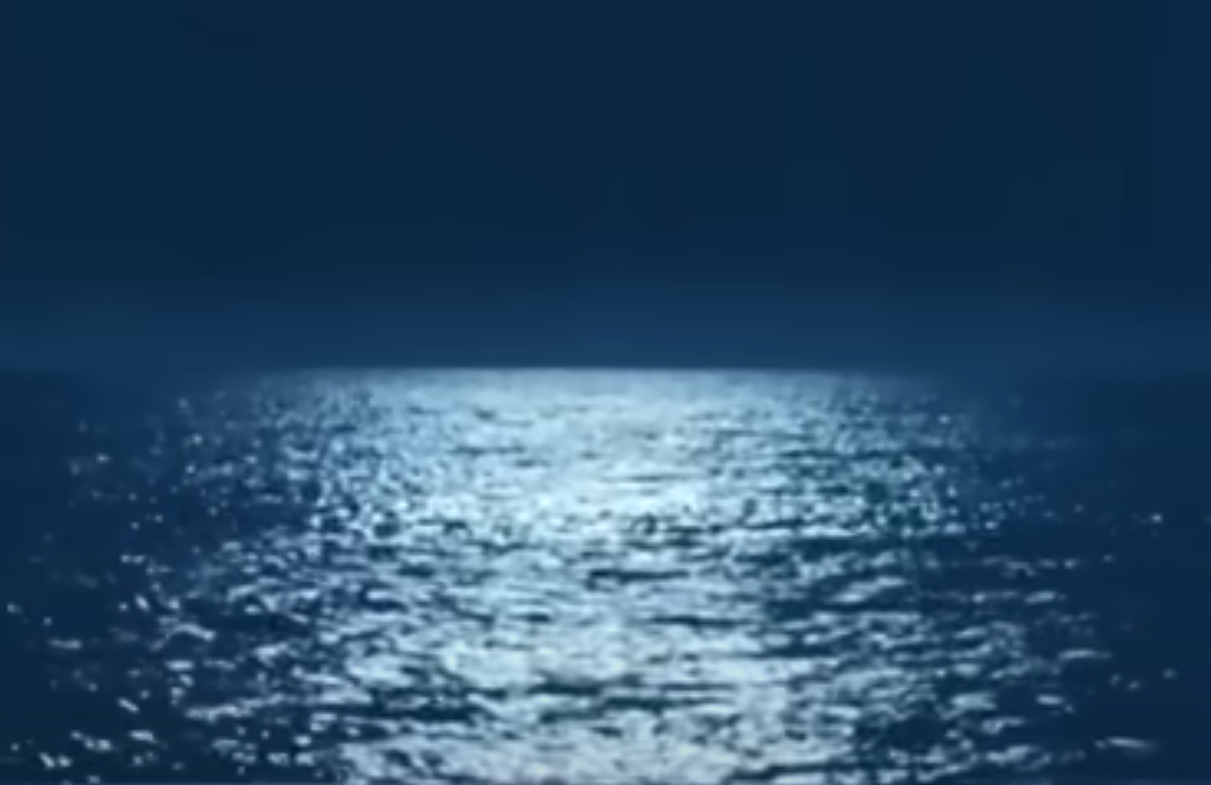 Cameron mergulhou às 21h40 de 24/5. E não foi mais visto. Equipe da Força de Defesa Real das Bahamas e da Guarda Costeira do Sudeste dos Estados Unidos fizeram buscas.