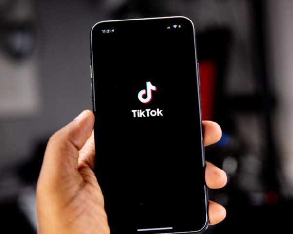 cobrinha azul desenho｜Pesquisa do TikTok