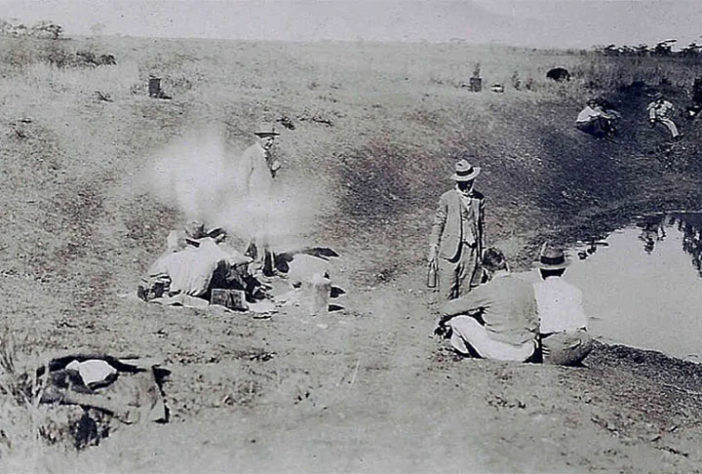 Emus na Austrália
