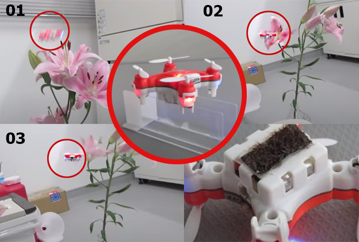 No Japão, em 2017, pesquisadores criaram um drone para substituir a abelha na polinização cruzada.-Youtube Canal New Cientist