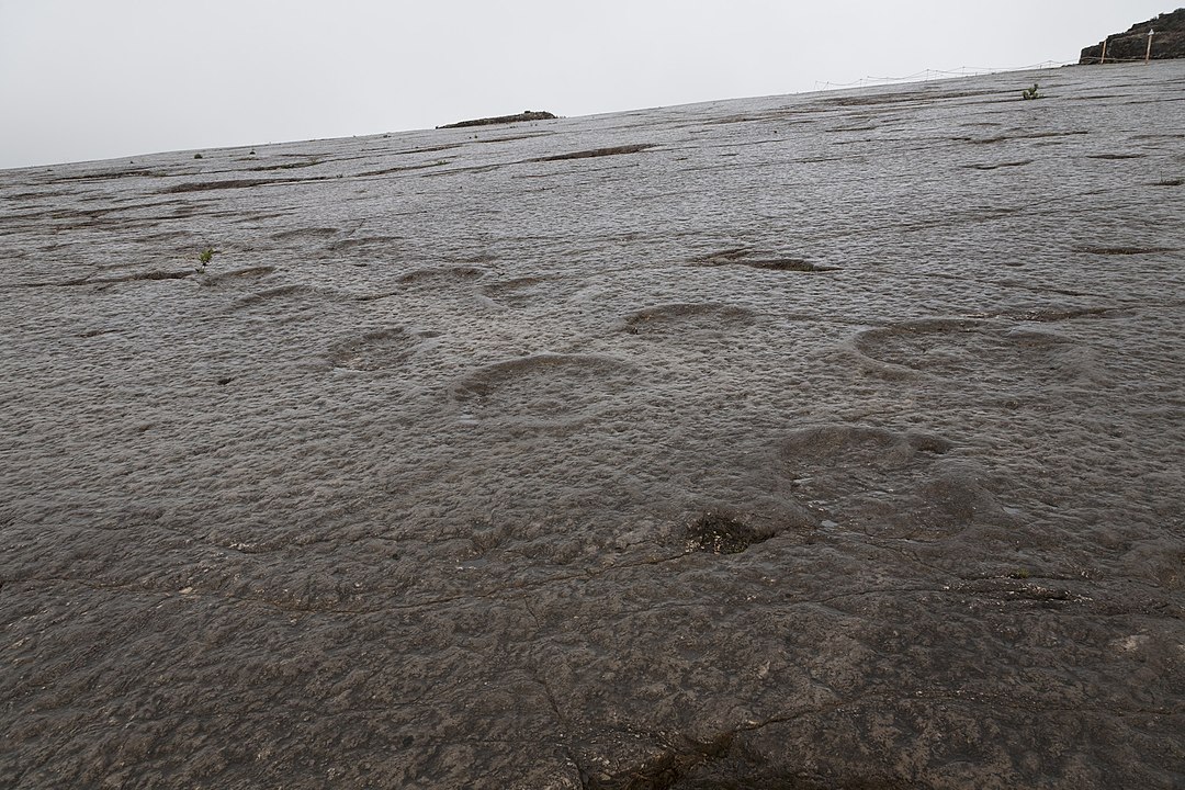 Tony contou que teve a ideia ao ver fotos de rastros fossilizados deixados por dinossauros . Então, ele decidiu inventar o ser mítico forjando as tais pegadas gigantescas. 
