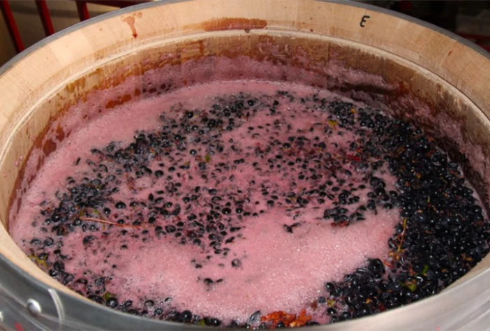 Inteligência Artificial vai identificar garrafas de vinho com rótulos trocados 