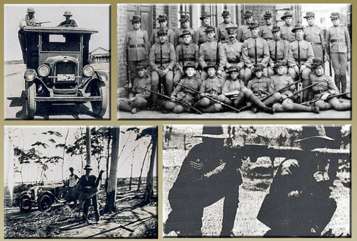 Emus na Austrália