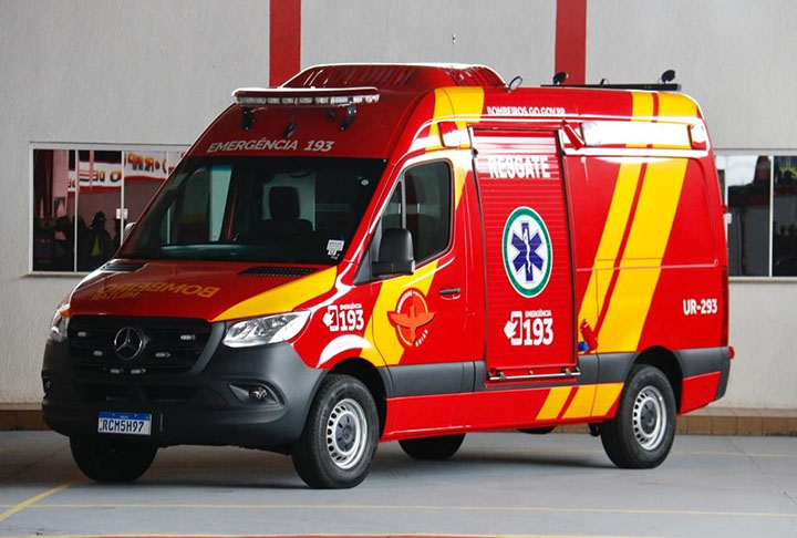 Ivanei percebeu o felino no pé de manga após ouvir barulhos de pássaros no quintal de sua residência, que fica próxima à reserva ambiental do Parque da Sapucaia. Ela acionou o Corpo de Bombeiros, que foi ao local com a Polícia Militar de Meio Ambiente e uma veterinária do Centro de Triagem de Animais (Cetas) do Ibama. 
